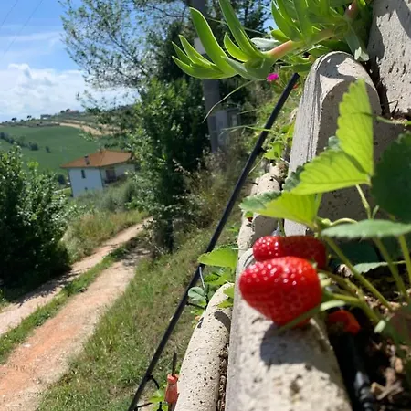 Casa Sofia Bed & Breakfast Capodarco